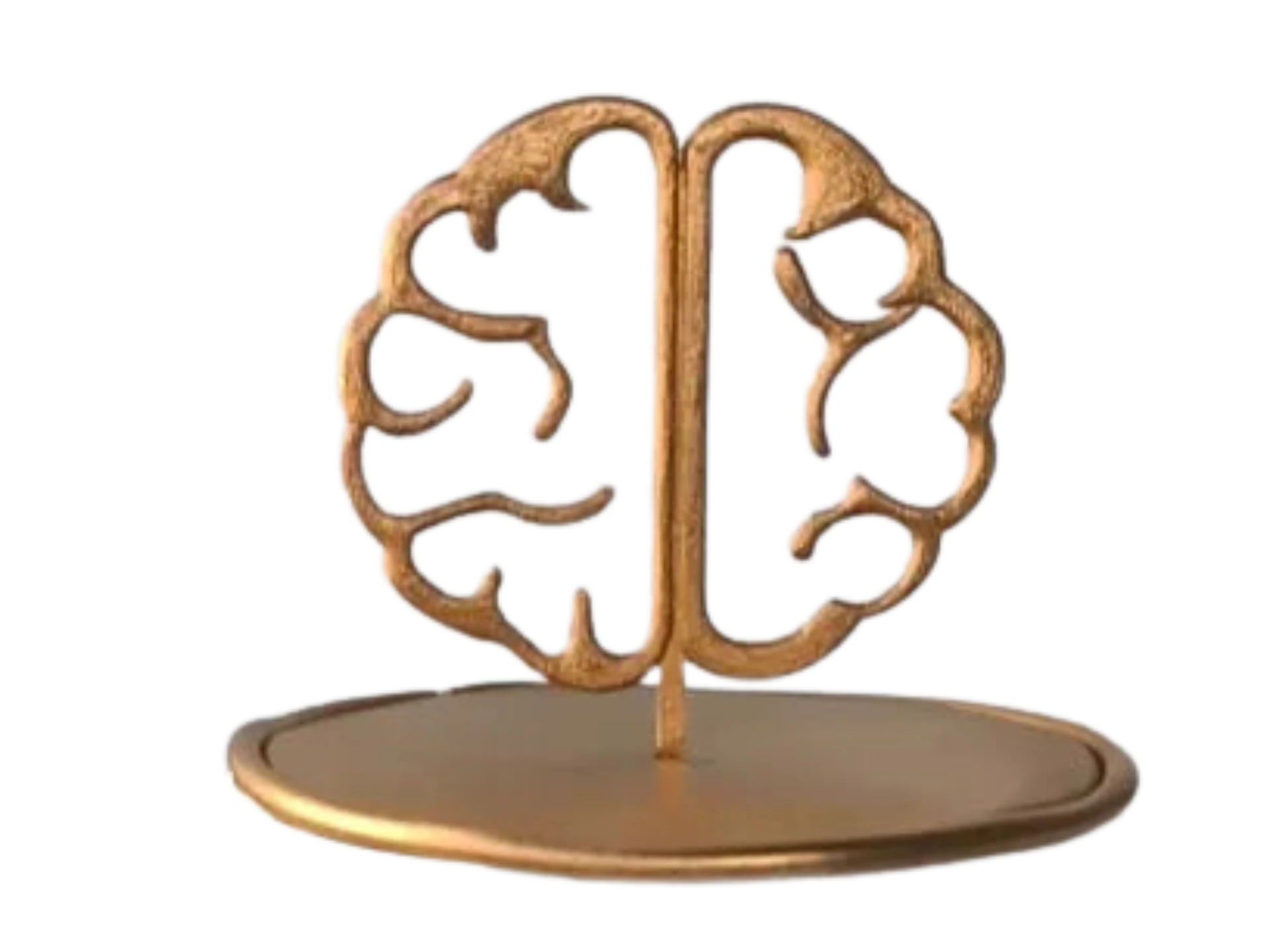 BrainDelight Cake Topper