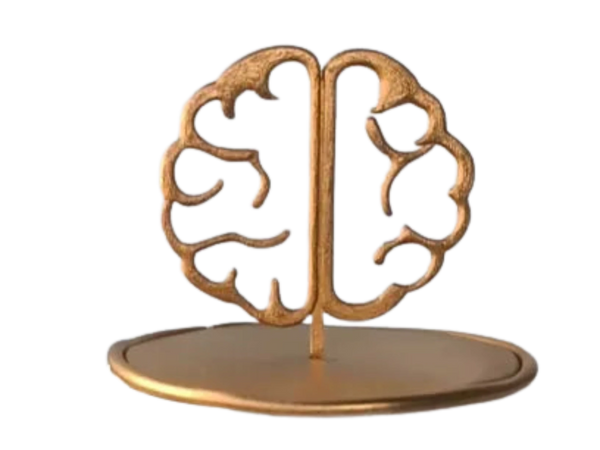 BrainDelight Cake Topper