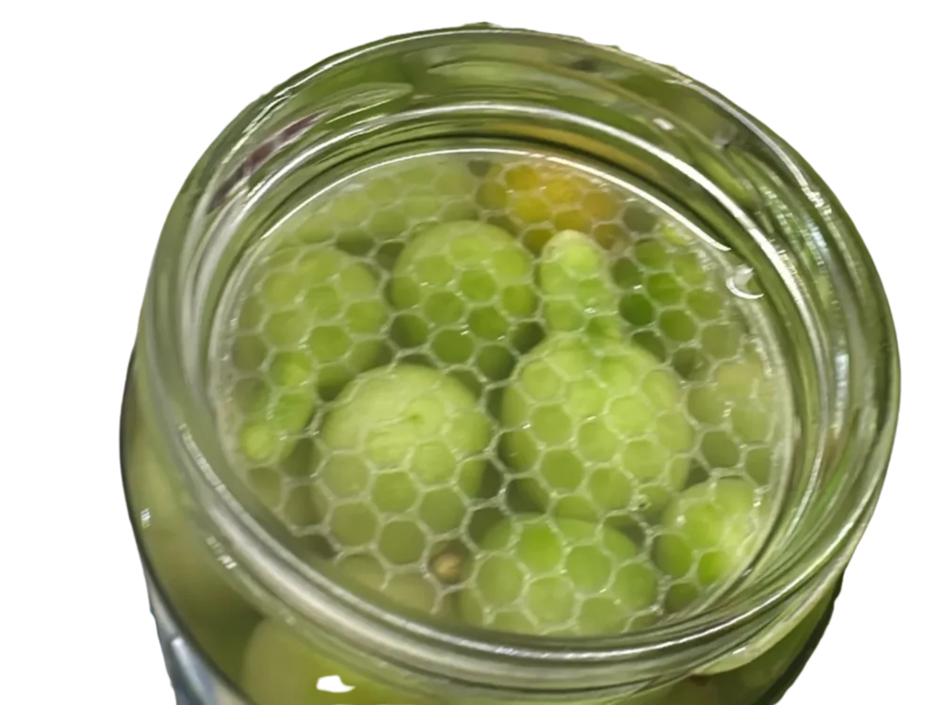 Fermentation/Pickle Jar Top Press Plate