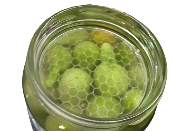 Fermentation/Pickle Jar Top Press Plate
