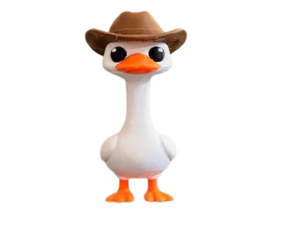 Silly Goose Cowboy
