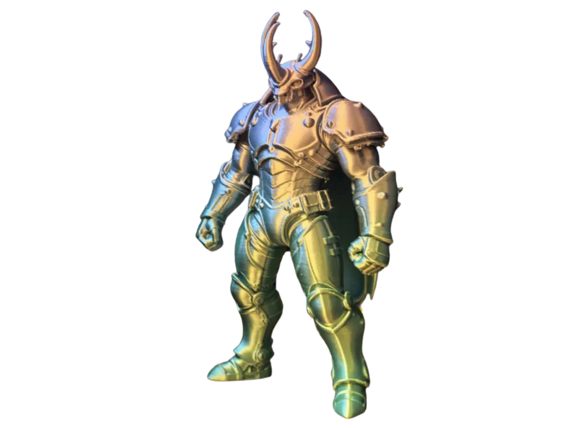 Beetle Warrior