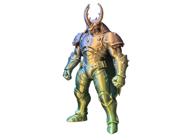 Beetle Warrior