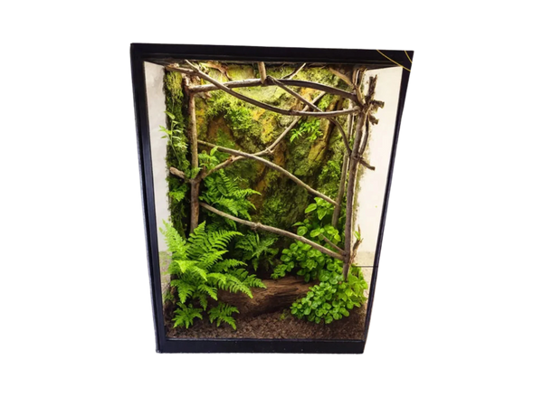 Terarrium 32 × 25  × 15 cm - Insectarium