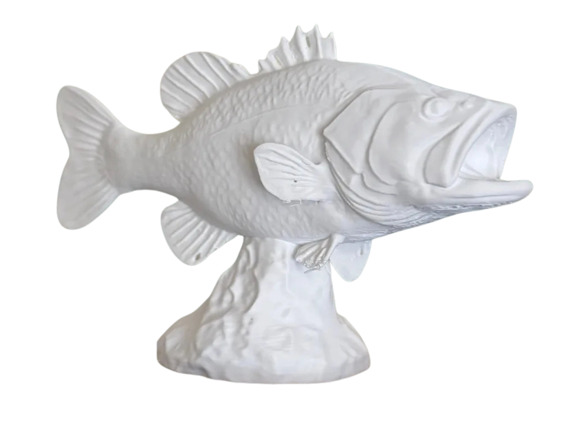 Largemouth Bass