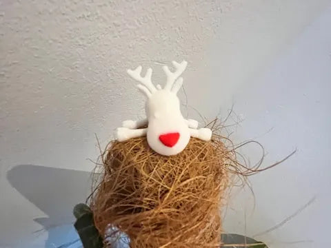 Rudolph the red nosed reindeer